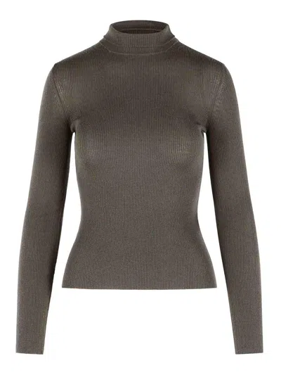 Max Mara Virgin Wool Turtleneck Sweater In Brown