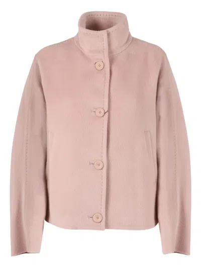 Max Mara Button Caladio Jacket In Pink