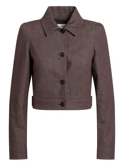 Max Mara Buttoned Cropped Jacket In Brown