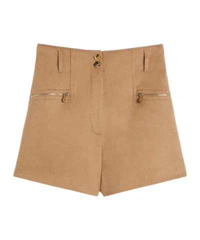 Max Mara Camel Colour Shorts In Brown
