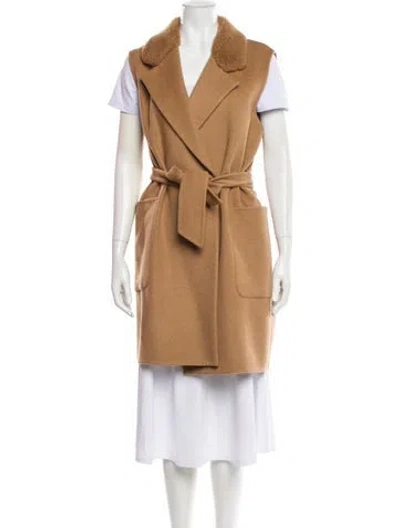 Pre-owned Max Mara Camel Hair Coat In Brown