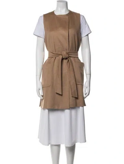 Pre-owned Max Mara Camel Hair Coat In Neutrals