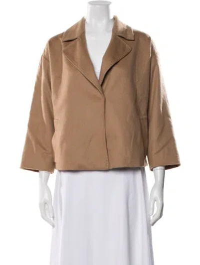 Pre-owned Max Mara Camel Hair Jacket In Brown
