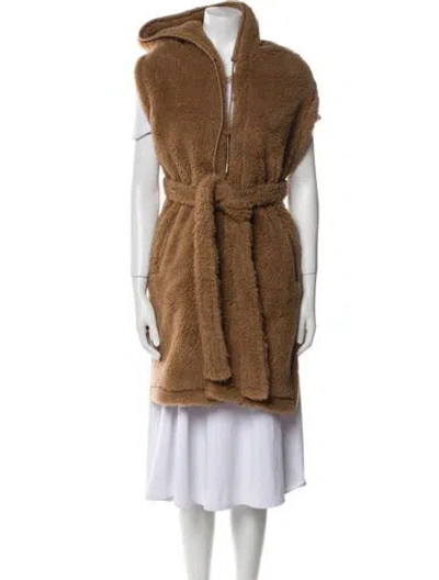 Pre-owned Max Mara Camel Hair Stole W/ Tags In Brown