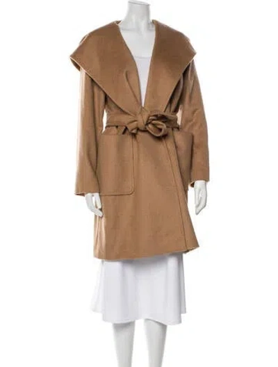 Pre-owned Max Mara Camel Hair Trench Coat In Brown