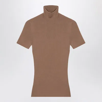 Max Mara Camel Turtleneck In Multi