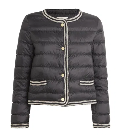 Max Mara Water-resistant Canvas Short Jacket In Black