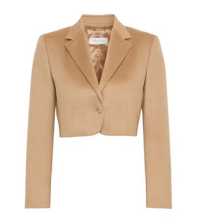 Max Mara Camelwool Cropped Blazer In Brown