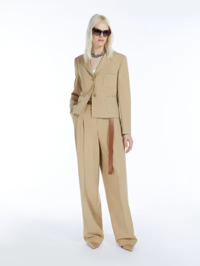 Max Mara Canvas Trousers With Belt In Brown