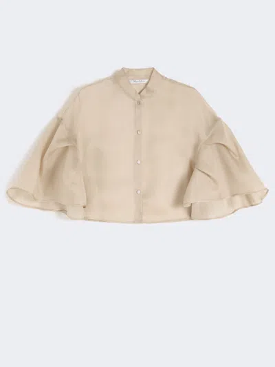 Max Mara Cape En Organza De Soie In Neutral