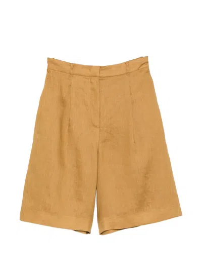 Max Mara Caravan Pleated Elasticated-waist Shorts In Brown