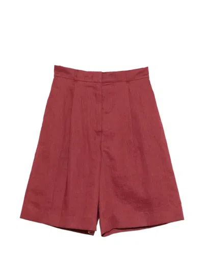 Max Mara Caravan Tailored Knee-length Shorts In Multi