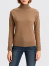 Max Mara 'quercia' Turtleneck Sweater In Brown