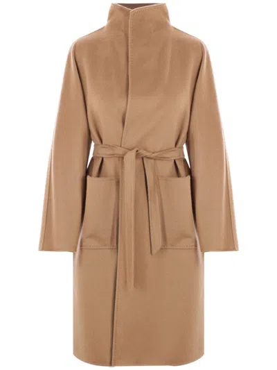 Max Mara Cashmere Coat In Neutrals
