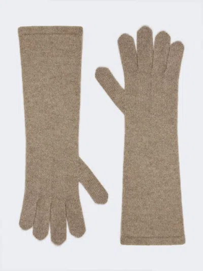 Max Mara Cashmere Gloves In Beige
