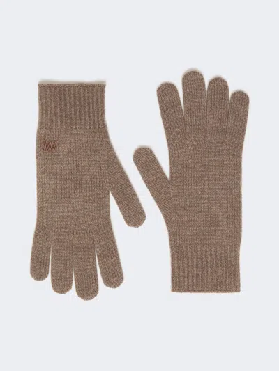 Max Mara Cashmere Gloves In Brown