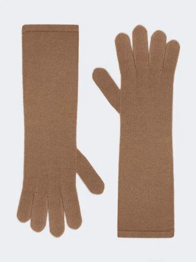 Max Mara Cashmere Gloves In Hazelnut Brown