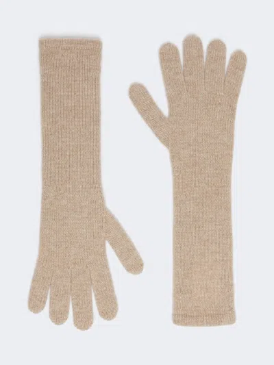 Max Mara Cashmere Gloves In Make Up Lumiere