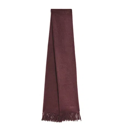 Max Mara Cashmere Logo Scarf In Brown
