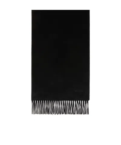 Max Mara Cashmere Logo Stole In Burgundy