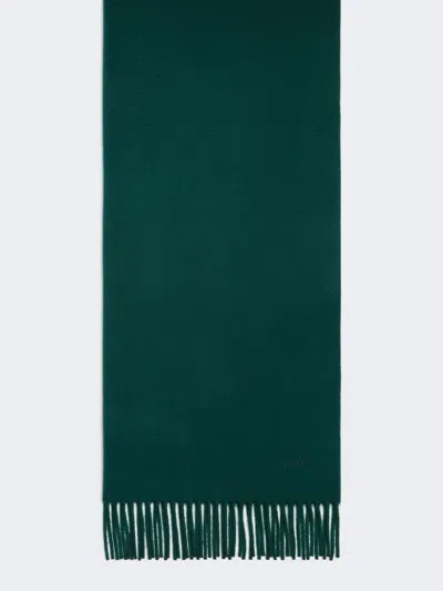 Max Mara Cashmere Stole With Embroidery And Fringing In Green