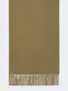 Max Mara Cashmere Logo Stole In Green