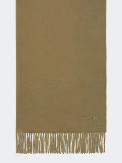 Max Mara Cashmere Logo Stole In Green