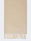 Max Mara Rectangular Cashmere Shawl In Neutral