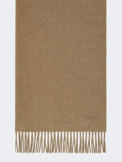 Max Mara Cashmere Logo Stole In Brown