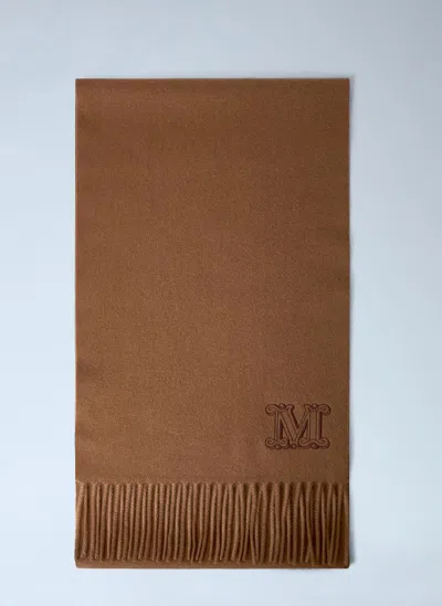 Max Mara Cashmere Scarf In Brown