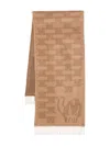 Max Mara Cashmere Scarf In Brown