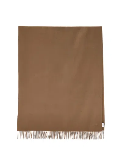 Max Mara Cashmere Scarf In Brown