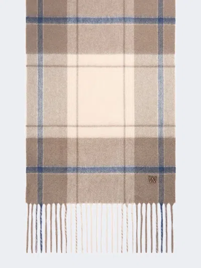 Max Mara Cashmere Scarf In Brown