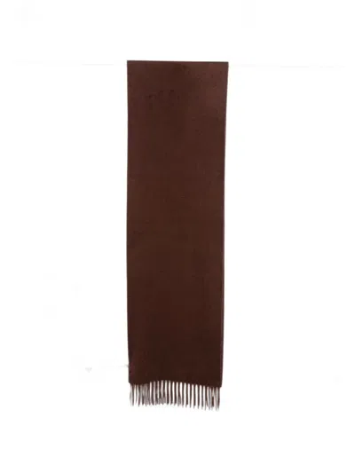 Max Mara Cashmere Scarf In Brown