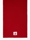 Max Mara Cashmere Scarf In Dark Red
