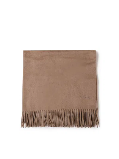 Max Mara Cashmere Stole In Brown