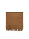 Max Mara Cashmere Stole With Embroidery And Fringes In Brown