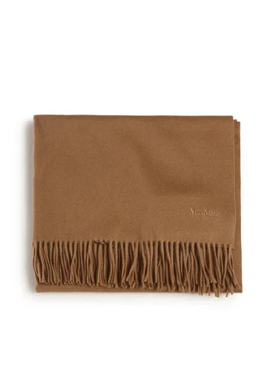 Max Mara Cashmere Stole With Embroidery And Fringes In Brown