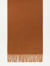 Max Mara Cashmere Stole With Embroidery And Fringing In Brown