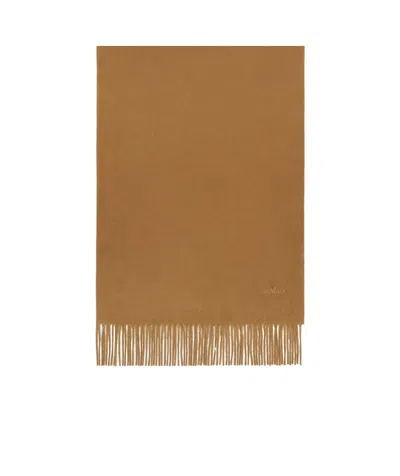Max Mara Cashmere Stole With Embroidery And Fringing