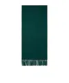 Max Mara Cashmere Stole With Embroidery And Fringing