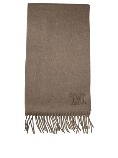 Max Mara Cashmere Stole With Embroidery In Brown