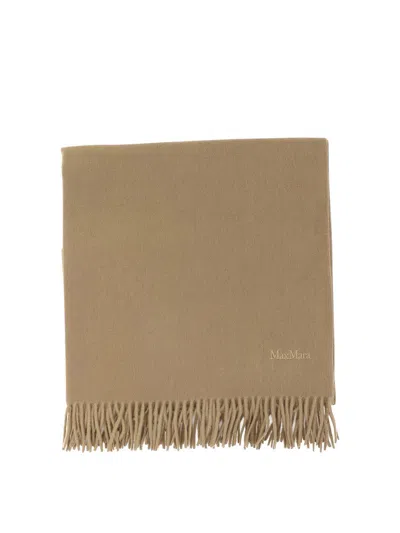 Max Mara Cashmere Stole With Embroidery In Brown