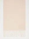 Max Mara Cashmere Stole With Embroidery In Pink