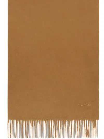Max Mara Cashmere Stole With Embroidery And Fringing In Brown