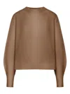 Max Mara Long Sleeve Sweater In Brown