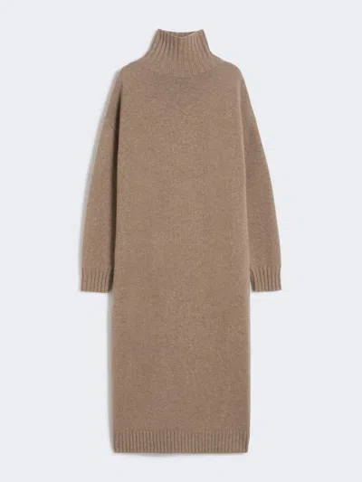Max Mara Cashmere Turtleneck Dress In Brown