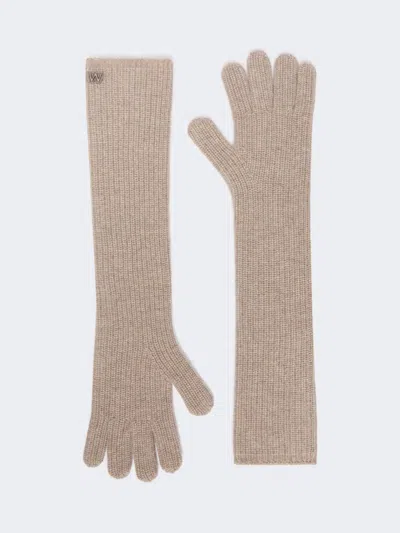 Max Mara Cashmere Yarn Gloves In Honey
