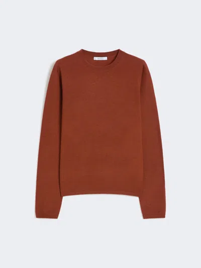 Max Mara Cashmere Yarn Sweater In Brown
