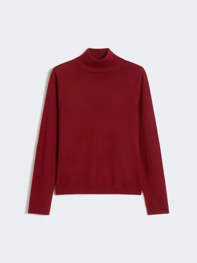 Max Mara Cashmere Yarn Turtleneck In Red
